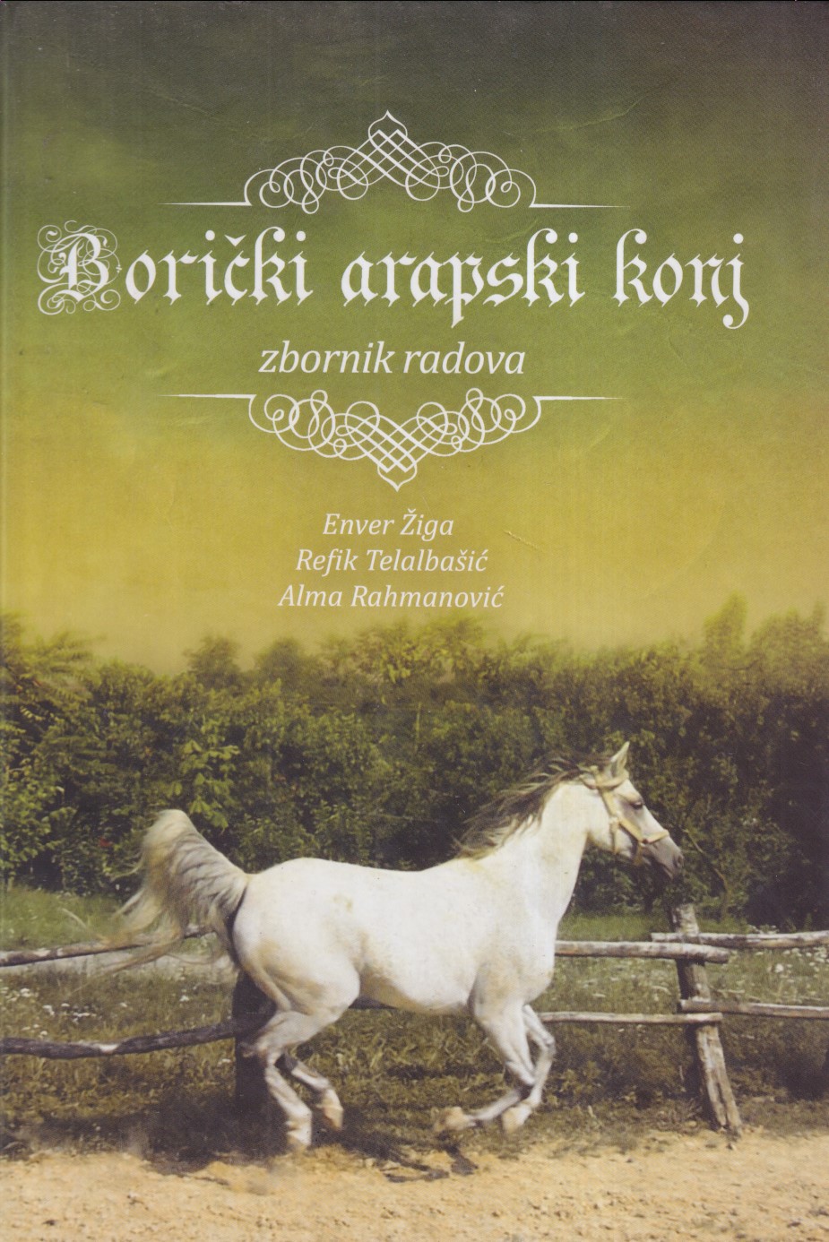 BORIČKI ARAPSKI KONJ
